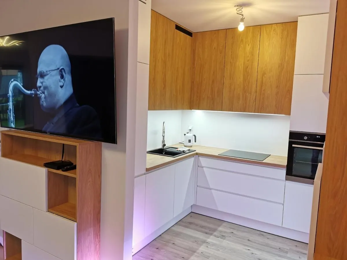 Luxury Apartment Varsó